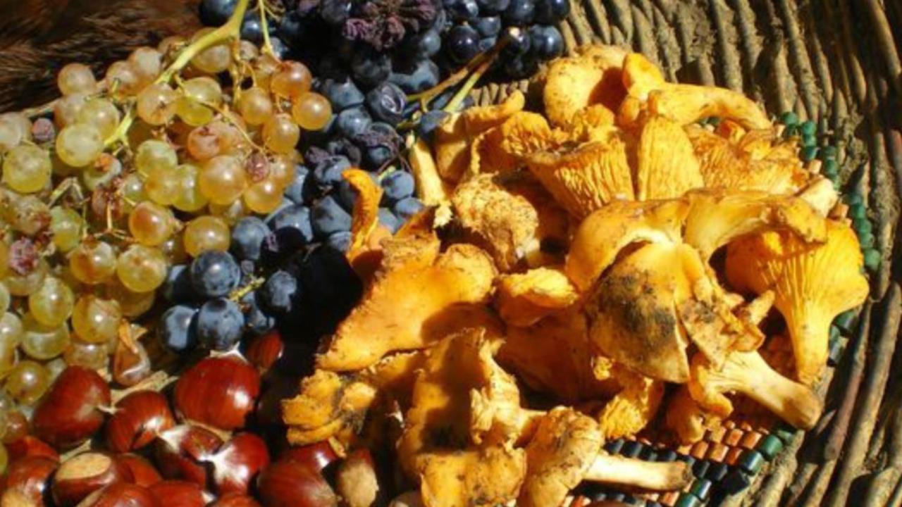 Tuttifrutti Holiday Acireale Dış mekan fotoğraf
